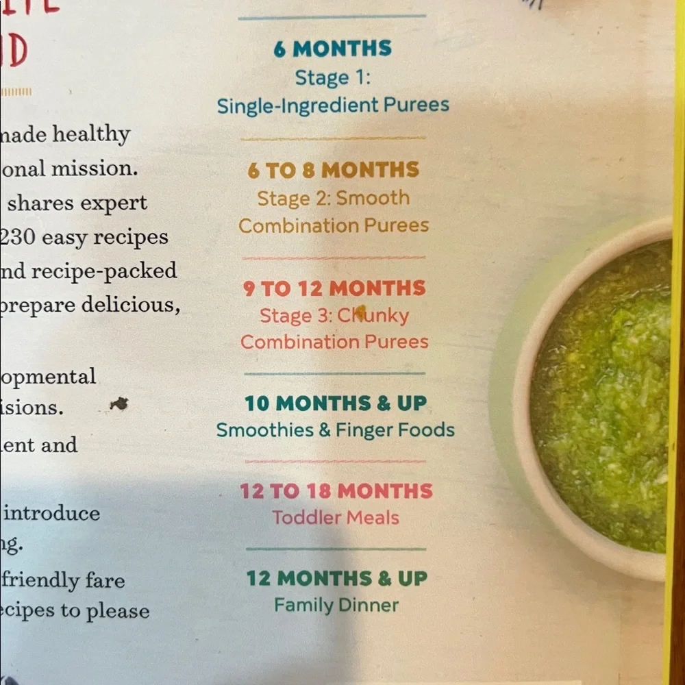 The Big Book of Organic Baby Food by Stephanie Middleberg